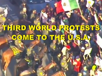 THIRD WORLD PROTESTS COME TO THE USA